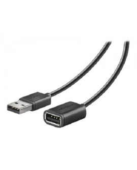 Insignia Cable USB 2.0 A/A 3.6 m Negro - Envío Gratuito